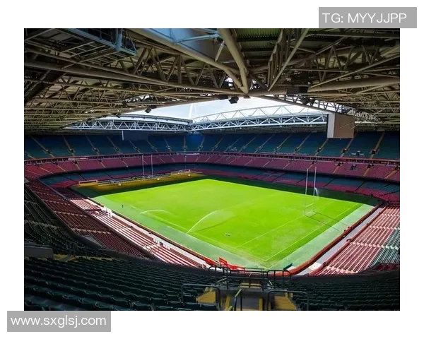 首尔足球俱乐部:激情与梦想交织的绿茵场上演绎精彩传奇